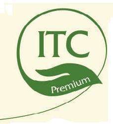 124 International Trade Co logo.jpg