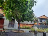Levani's Cottage