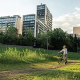 Domus Development