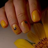 Nail sector#1