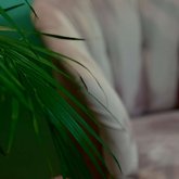 ნეილ სექტორ#1