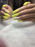 Shellac Batumi