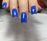 Shellac Batumi