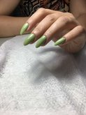 Shellac Batumi