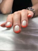 Shellac Batumi
