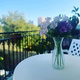 Apart Hotel 25