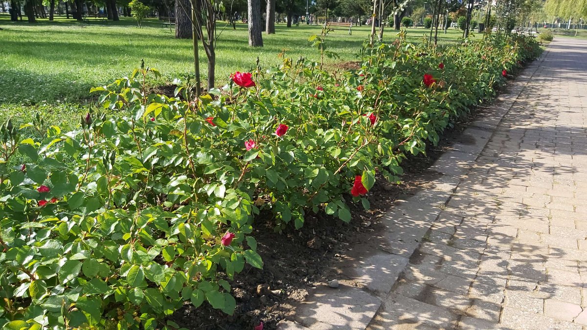 6-may-park-batumi