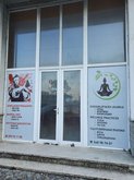 Yoga & Qigong