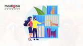 Продвижение питомника собак и кошек