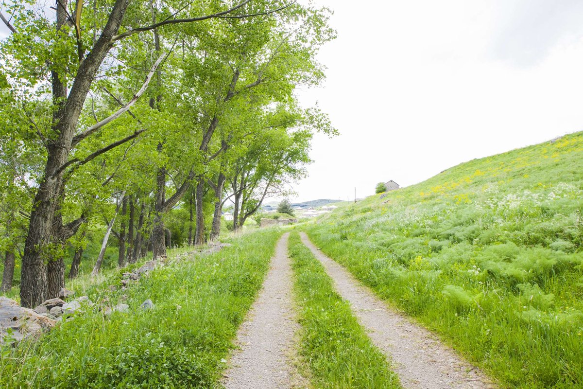 A rural road in Georgia
