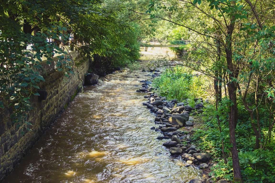 A stream in Borjomi Park
