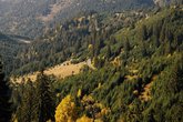 Adjara Forestry Agency