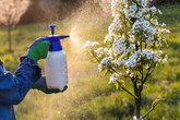 Agrochemicals