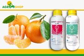 Производитель и поставщик сельхозтехники "Agroshop"