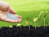Agrotrading Plus