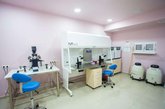 Агентство суррогатного материнства в Грузии "Stork Service"