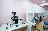 Агентство суррогатного материнства в Грузии "Stork Service"