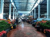 Alpha Market