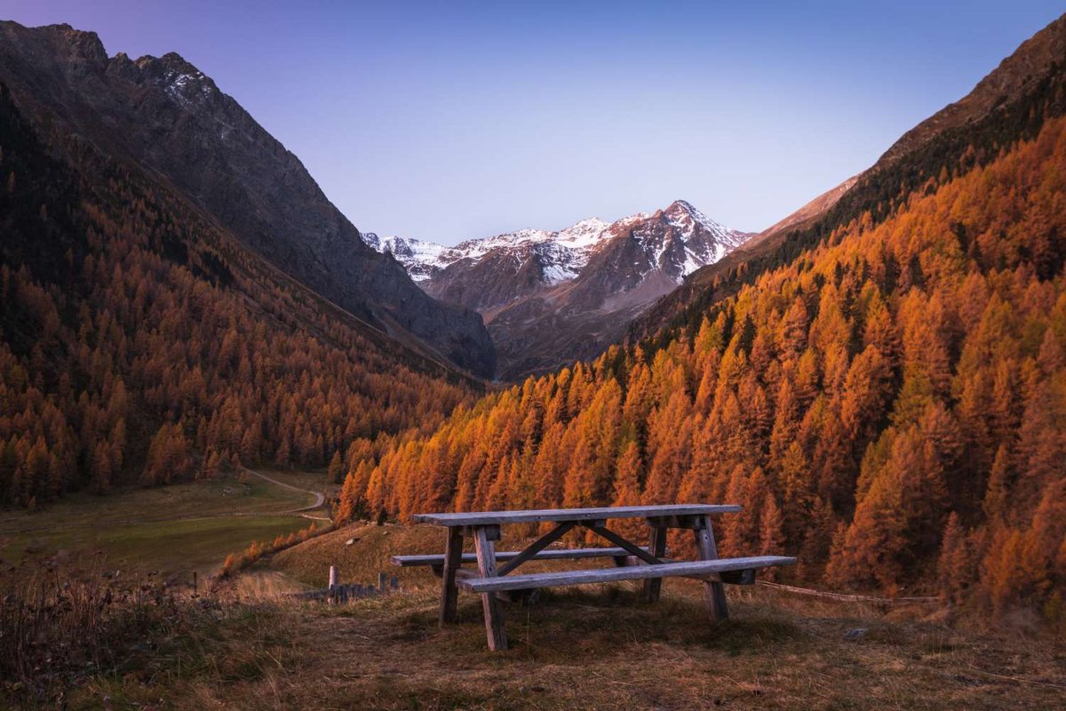 an empty picnic table overlooks a valley of golden larch forest, with snow-dusted peaks rising at the head of the trail.