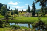 Goderdzi Alpine Garden