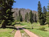Goderdzi Alpine Garden