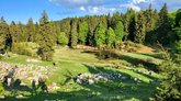 Goderdzi Alpine Garden