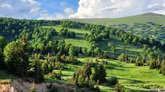 Goderdzi Alpine Garden