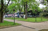 Bambi Park