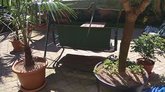 Batumi Sun Hostel (24a Lermontov St.)