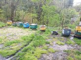 Beehives - guest house