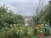 Beehives - guest house