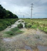 Болота Испани