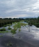 Swamps of Spain