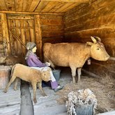 Ethnographic museum Borjgalo
