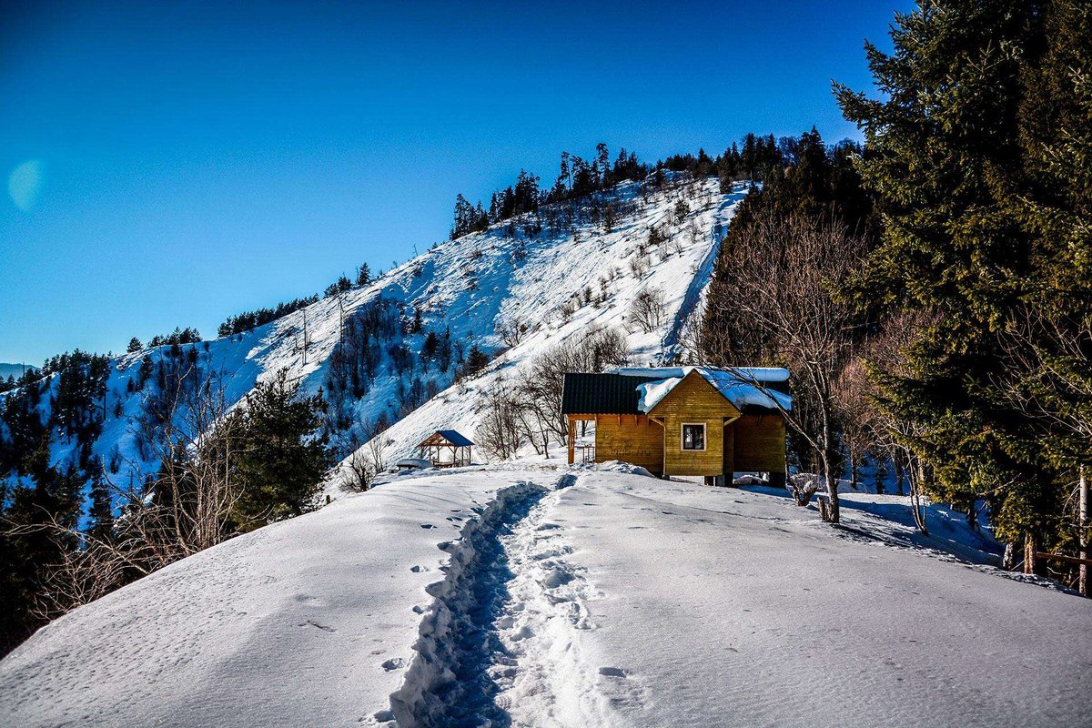 Borjomi-Kharagauli National Park