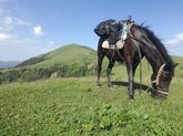 Конные туры в Боржоми