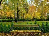 Ботанический сад в Зугдиди