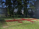 Ботанический сад в Зугдиди
