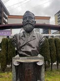 Бюст Якова Гогебашвили