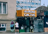 კაქტუსი