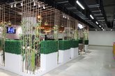 Bamboo