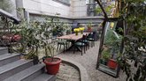 Cafe Lemon