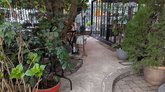 Cafe Lemon