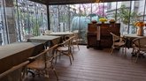 Cafe Lemon