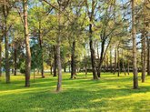 Calesthenics Park