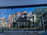 კამელია