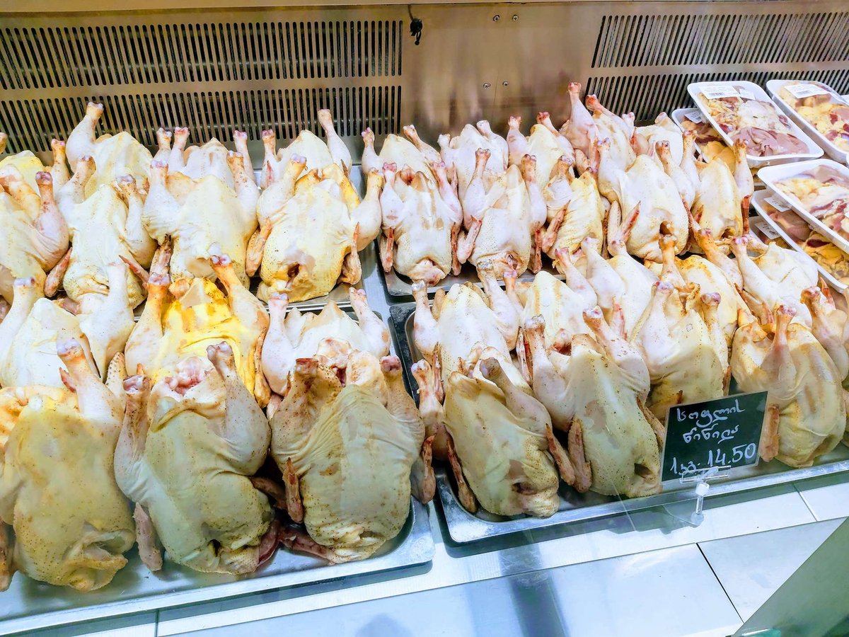 Chicken at Agrohub