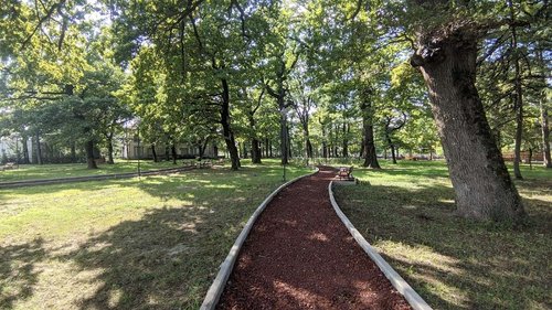 Datiko's Garden
