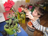 Детский сад №6 "Подсолнухи"