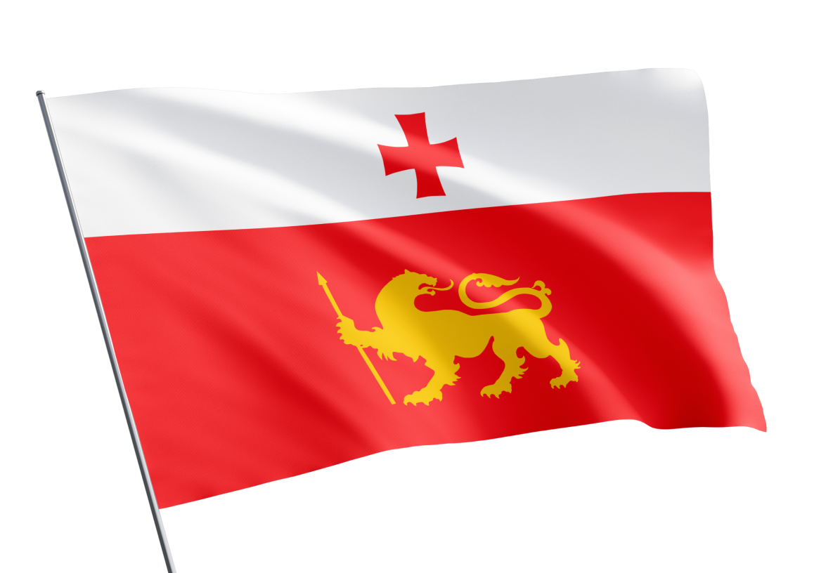 Dmanisi municipality flag